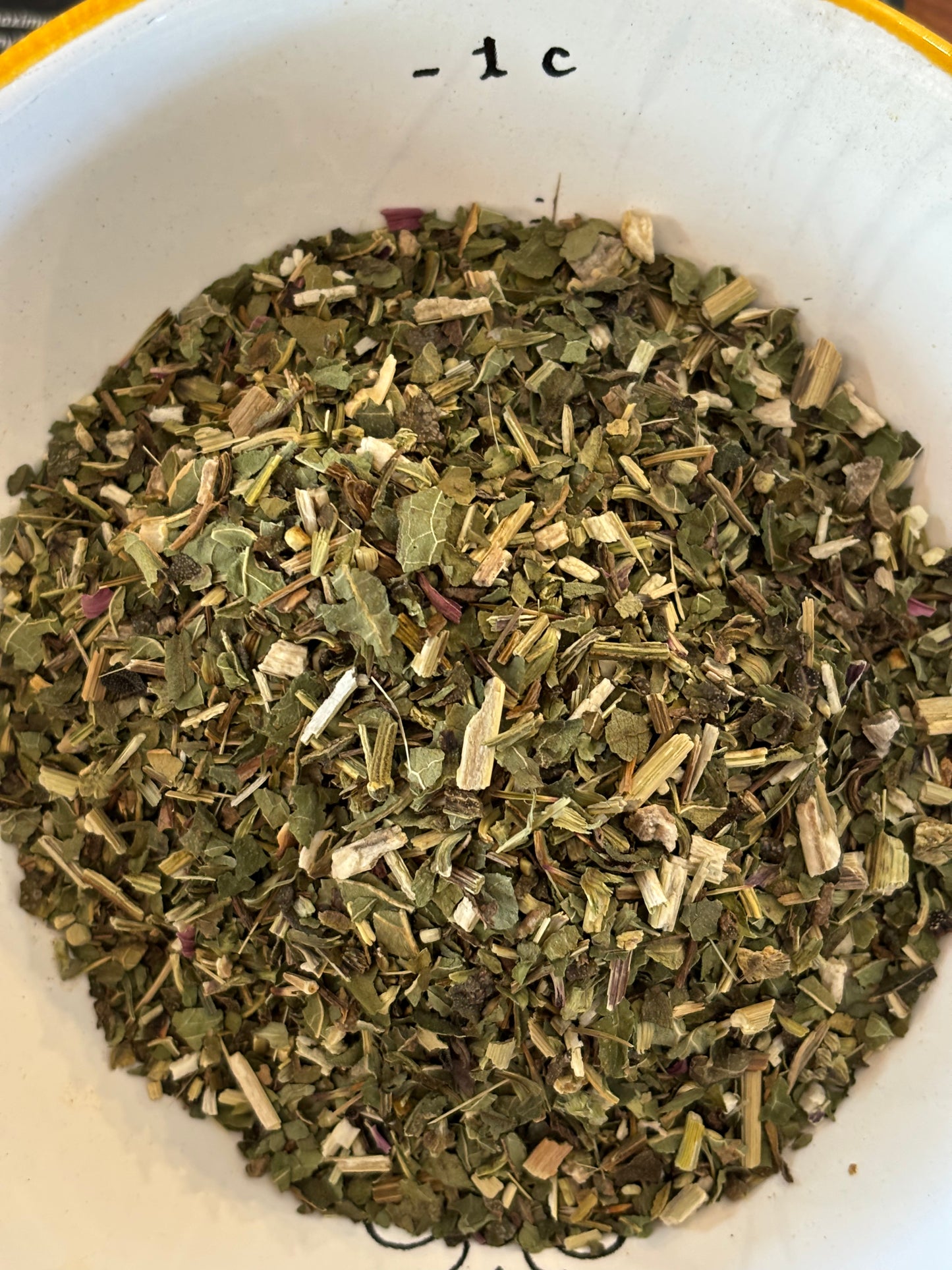 Echinacea purpurea