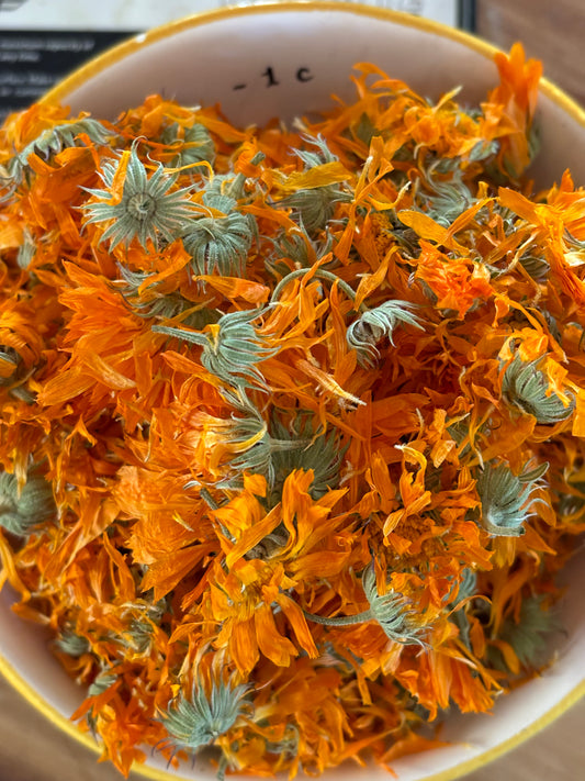 Calendula